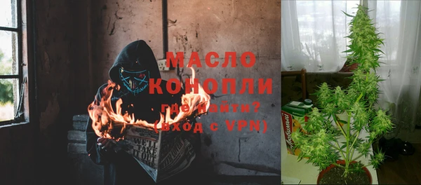 spice Богданович